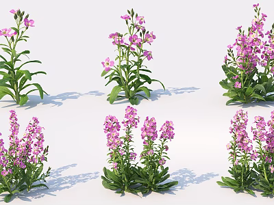 Fresh Pink Flowers and Green Leaves in Multiple Clusters Displaying Natural Growth 3d model