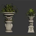 Ornamental Green Plants In Decorative Stone Pots With Carved Bases For Indoor