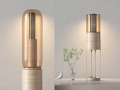 Modern Wooden Floor Lamp With Transparent Shade For Elegant Home Decor 3d model