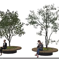 Tree Planter With Green Trees And Circular Benches For People Resting Outdoors