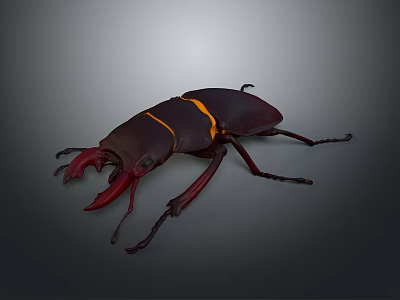 Detailed Realistic Beetle with Red Mandibles and Yellow Stripe on Dark Background 3d model