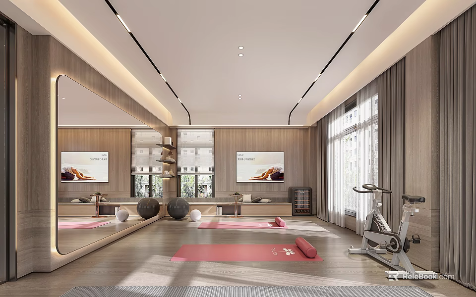 Modern Recreation Room With Yoga Mats Exercise Balls And Bikes 3d model 
