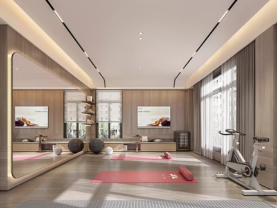 Modern Recreation Room With Yoga Mats Exercise Balls And Bikes 3d model