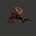 Red Brown Lizard With Distinct Head And Textured Skin On Dark Background