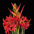 Decorative Ornament Set With Red Flowers In Transparent Glass Vase And Decorative Beads