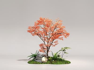 Courtyard Red Maple Acer Maple Red Leaf Tree Arbor Landscape Tree 3d model