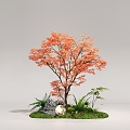 Courtyard Red Maple Acer Maple Red Leaf Tree Arbor Landscape Tree 3d model