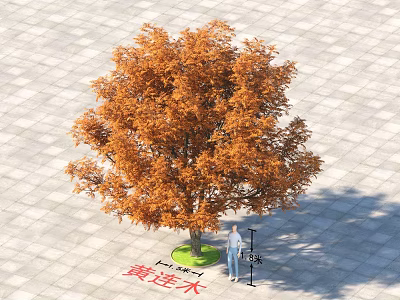 Tall Arbor With Orange Autumn Leaves In Paved Square And Human Figure For Size Reference 3d model