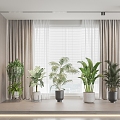 potted plant curtain 3d model