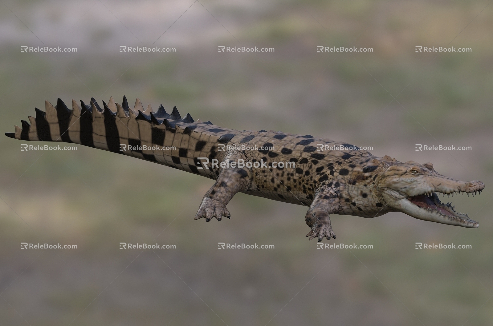 Orenac Crocodile Orenac Crocodile 3d model