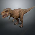 Realistic Tyrannosaurus Rex Standing 3D Model With Sharp Teeth And Small Forelimbs