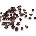 Modern Coffee Beans 3d model