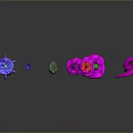Colorful Abstract Plants With Spiral Design And Various Vibrant Flower Shapes