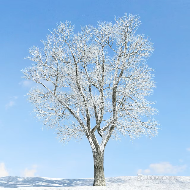 Tall Snow Covered Tree With Frosted Branches Against Blue Sky Background 3d model 