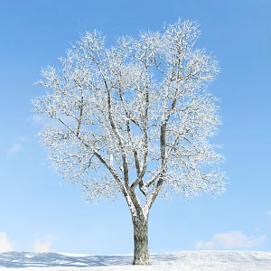 The Modern Tree 3d model