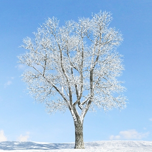 The Modern Tree 3d model