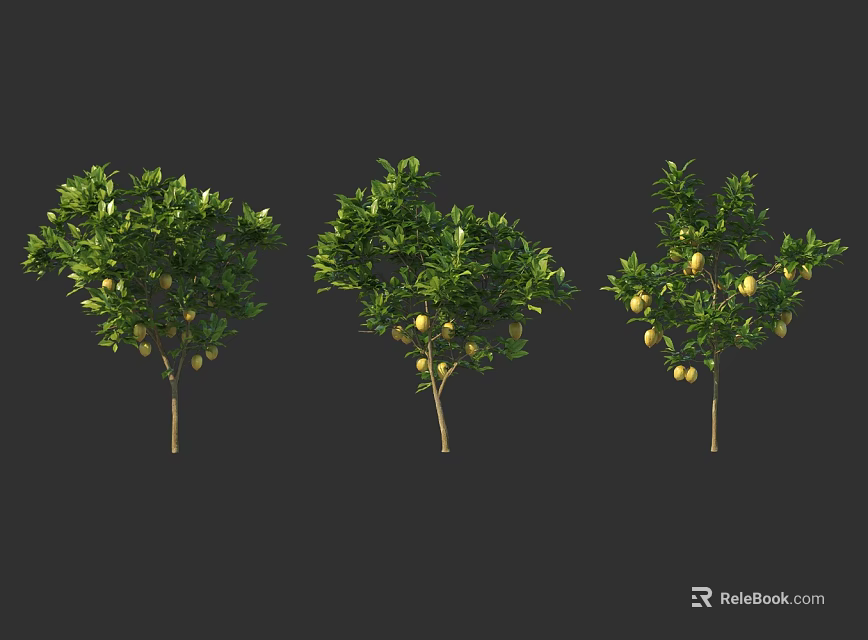 Three Fruit Bearing Arbor Trees With Green Leaves And Yellow Fruits 3d model 