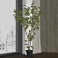 Modern potted plant potted plant household potted plant 3d model