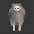 White long haired cat with blue eyes standing on dark background 3d model