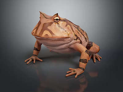 Brown and Beige Frog with Unique Markings and Rounded Body on Gray Background 3d model