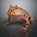 Brown and Beige Frog with Unique Markings and Rounded Body on Gray Background