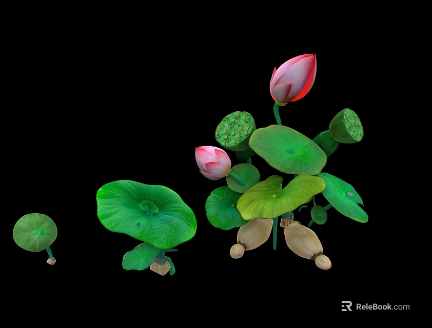 Aquatic Plants With Pink Lotus Flowers Green Leaves And Seed Pods 3d model 