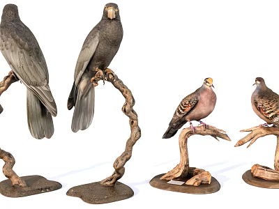 Different Types of Flying Birds Perched on Twisted Wooden Branches as Decorative Statues 3d model