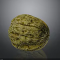 Whole Fresh Walnut With Yellowish Brown Wrinkled Surface On Gray Background