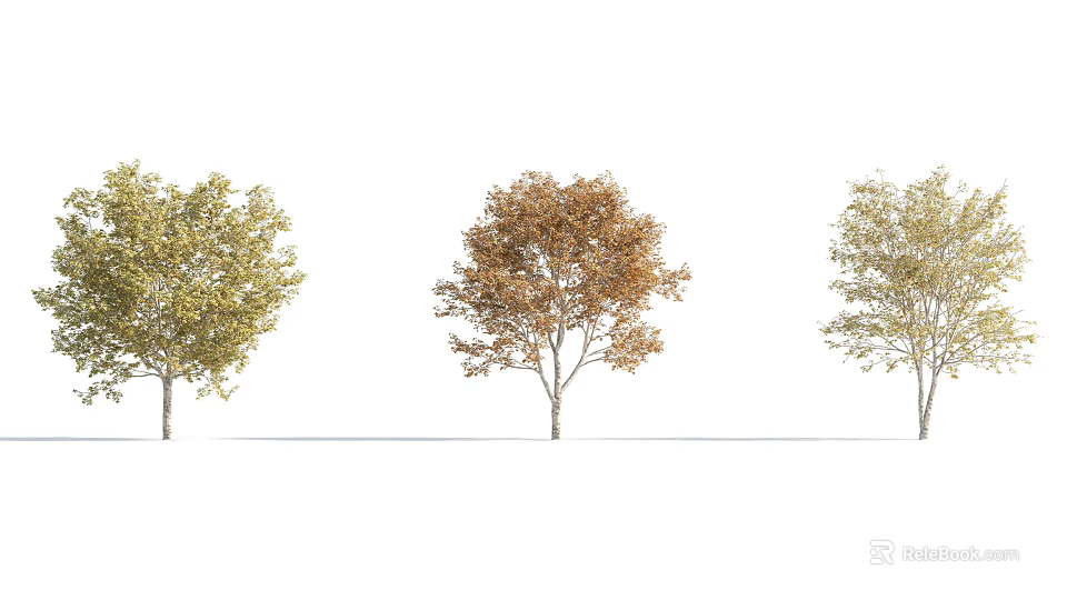 Three Trees With Green Orange Yellow Leaves Displayed On White Background 3d model