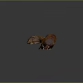 Brown Weasel Carrying Prey on Reflective Surface with Gray Background 3d model