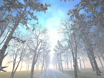 Road Facilities With Frost Covered Trees Lining Both Sides And Sunlit Pathway 3d model