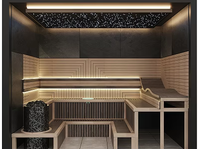 Modern Steam Sauna Interior Design With Wooden Benches Step Seats And Starry Ceiling 3d model
