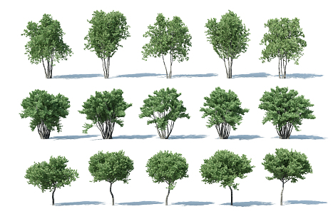 The Modern Tree 3d model