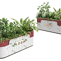 Bonsai Potted Plants in White Red Rectangular Planters with Various Green Plants Featuring LOGO