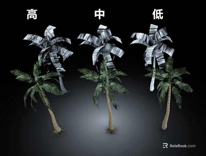 Three Different Height Palm Trees Showing High Medium Low Sizes in Black Background 3d model 