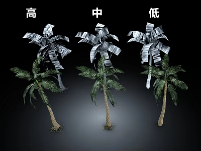 Three Different Height Palm Trees Showing High Medium Low Sizes in Black Background 3d model