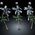 Three Different Height Palm Trees Showing High Medium Low Sizes in Black Background