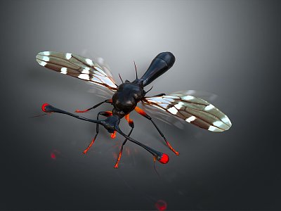 Alien Insects Sci-Fi Insects Magic Insects Strange Insects Fantasy Insects Insect Characters Game Characters model