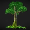 Cartoon Scene Featuring Lush Green Tree With Mossy Trunk And Small Plants