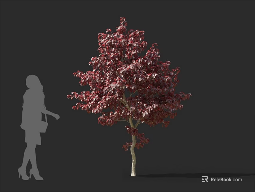 Arbor With Vibrant Crimson Leaves And Female Silhouette On Gray Background 3d model 