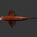 Vibrant Red Fish With Spiky Fins Prominent Eyes On Dark Reflective Background