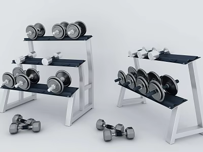 Modern Dumbbell Sporting Goods Fitness Equipment Dumbbell Combination 3d model