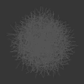 Ornamental Arbor 3D Model With Slender Stems Height Scale And Feathery Leaves