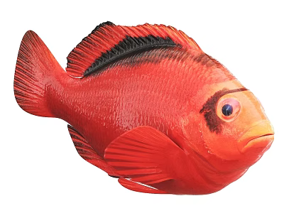 Vibrant Red Aquatic Fish With Black Stripes And Large Colorful Eyes 3d model