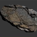 Unique Wood Stone With Organic Detailed Natural Texture And Raw Material Look
