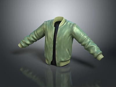 Green Bomber Jacket With Long Sleeves And Zipper Closure In Casual Style 3d model