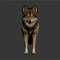 Realistic 3D Wolf Model in Standing Pose With Dark Background Reflection 3d model