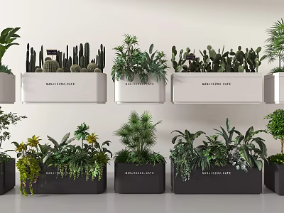 Stylish Potted Bonsai Plants In White And Black Planters With Mixed Greenery 3d model