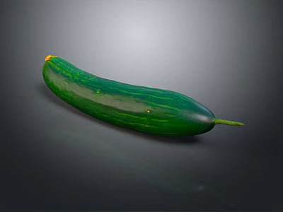 Fresh Green Cucumber with Striped Skin and Yellow Blossom Tip 3d model