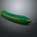 Fresh Green Cucumber with Striped Skin and Yellow Blossom Tip